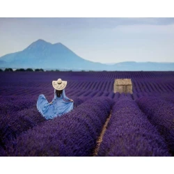 Алмазная мозаика Diamond Mosaic Лавандовое поле, 40х50 см