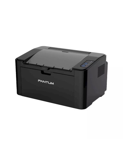 Printer Pantum P2500W