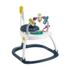 Прыгунки Fisher-Price Astro Kitty SpaceSaver Jumperoo
