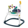 Прыгунки Fisher-Price Astro Kitty SpaceSaver Jumperoo