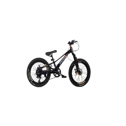 Velosiped BMX GTR-025 20
