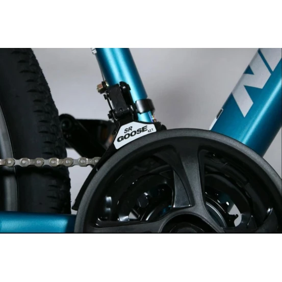 Dağ velosipedi Goose Premium 29