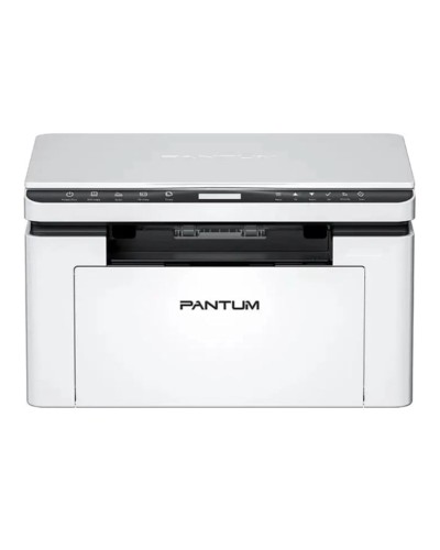 ÇFQ Pantum BM2300, ağ