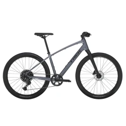 Велосипед Trek Dual Sport 3 Gen 5 V2, серый, L