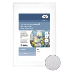 Холст на картоне Гамма Студия, 60х40 см, 280 г/м², хлопок, 1 шт, мелкое зерно, белый
