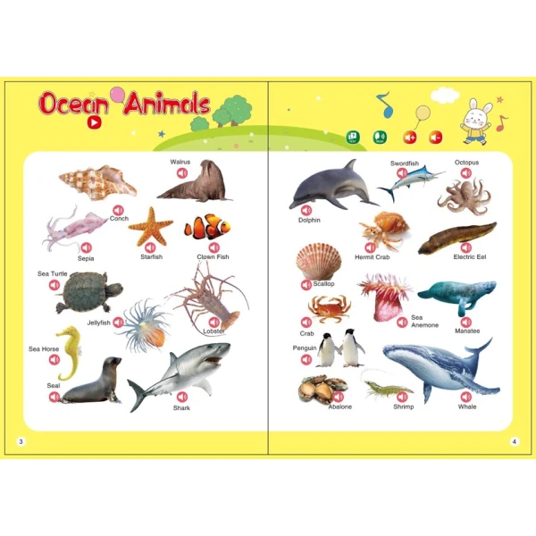 Английская книга для детей, цифры, цвета, музыкальные инструменты, животные, фигуры Английская книга для детей, цифры, цвета, музыкальные инструменты, животные, фигуры