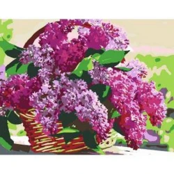 Nömrələr ilə akril rəsm Rosa Start Səbətdə yasəmən, 35х45 sm