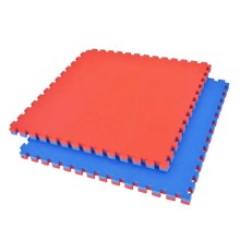Mat gimnastika üçün Gym Matt, 100x100x2.5 sm, qırmızı/göy