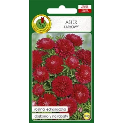Семена цветов PNOS Aster Karlowy, красные, 0.8 г