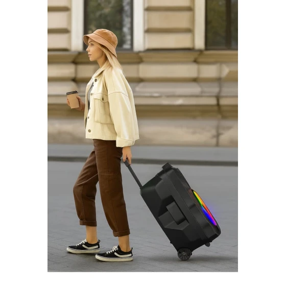 Портативная колонка Sing-E ZQS15123 Портативная колонка Sing-E ZQS15123