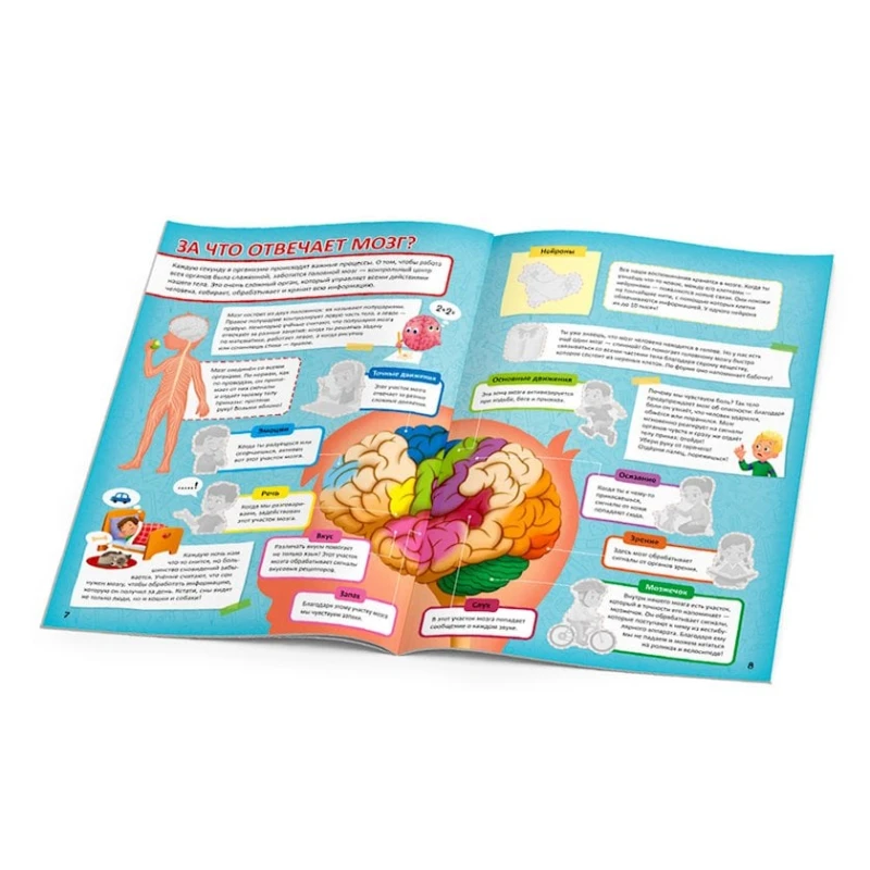 Kitab Yapışdırmalar ilə Dünya atlası İnsan bədəni Kitab Yapışdırmalar ilə Dünya atlası İnsan bədəni