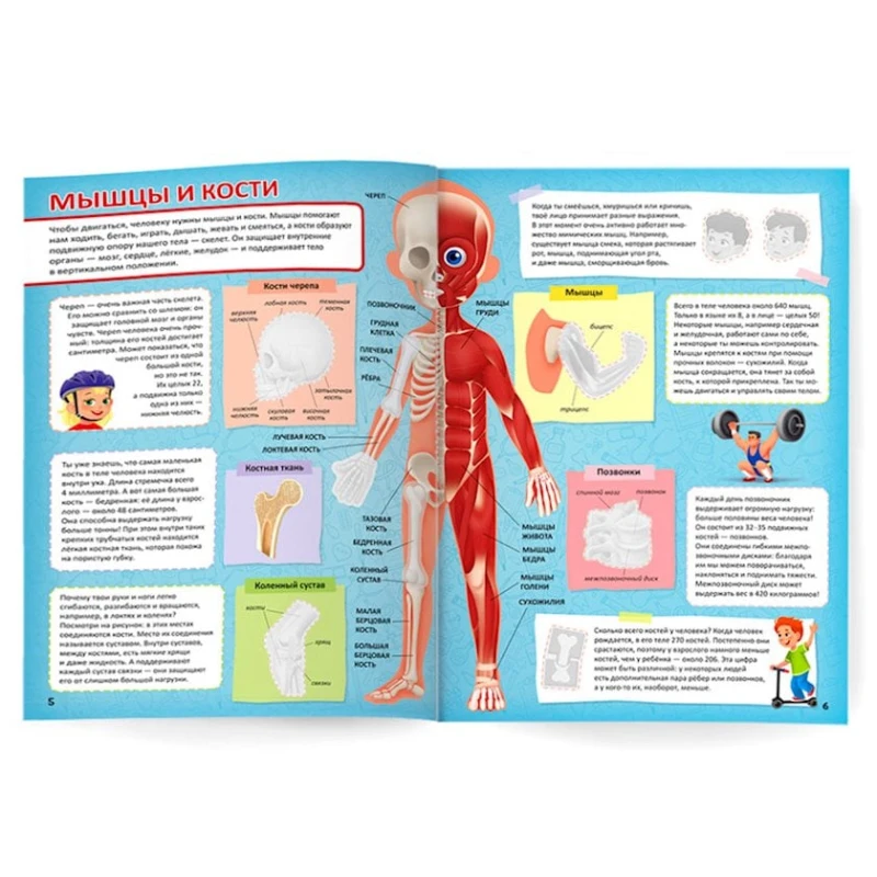 Kitab Yapışdırmalar ilə Dünya atlası İnsan bədəni Kitab Yapışdırmalar ilə Dünya atlası İnsan bədəni