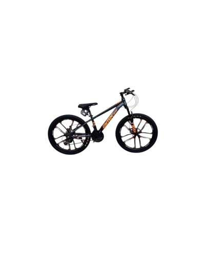 Velosiped BB-786, qara/narıncı, 24