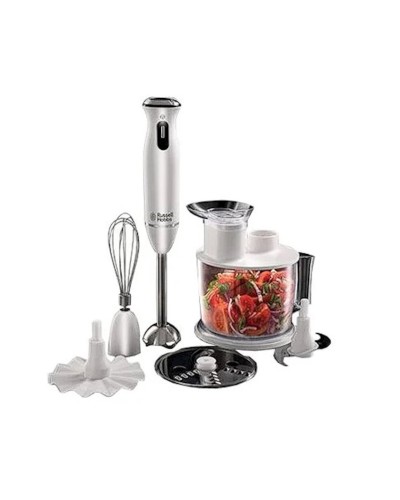 Blender Russell Hobbs 21500