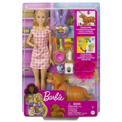 Игровой набор Barbie HCK75 Рождение щенков