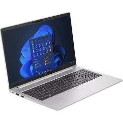 Ноутбук HP ProBook 450 G10 Silver (9X1Q4ES)