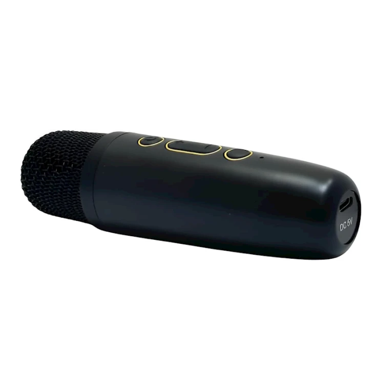 Портативная колонка Haino Teko MS-41 Black