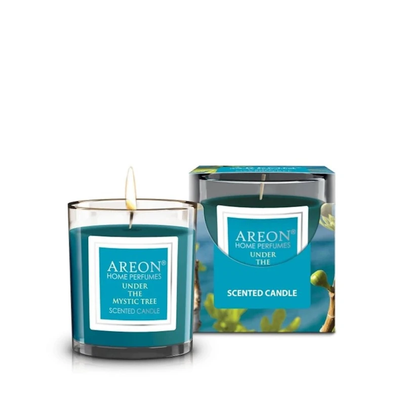 Ароматическая свеча Areon Home Perfume Under the Mystic Tree 120 г
