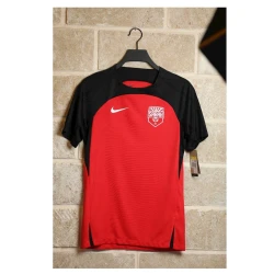 Футболка для болельщиков Nike DR2276-657, разноцветный, текстиль, размер L