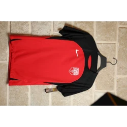 Футболка для болельщиков Nike DR2276-657, разноцветный, текстиль, размер L