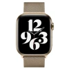 Ремешок для Apple Watch WiWU Milano Watch Band 38/40 мм, 235 мм, Gold