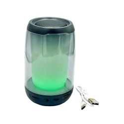 Портативная колонка Pulse 4 Mini Black