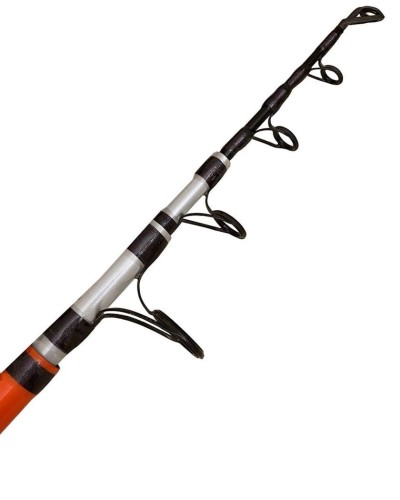Tilov ağacı Kaida Beach Hunter BHT250-15