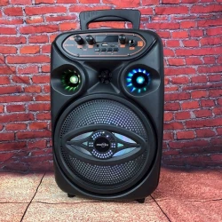 Портативная акустическая система GTS-1700 Black Портативная акустическая система GTS-1700 Black