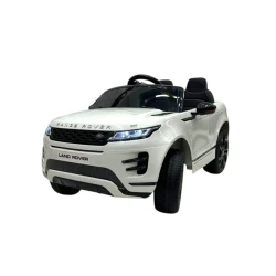 Uşaq elektrik avtomobili TToys RR99-660, ağ