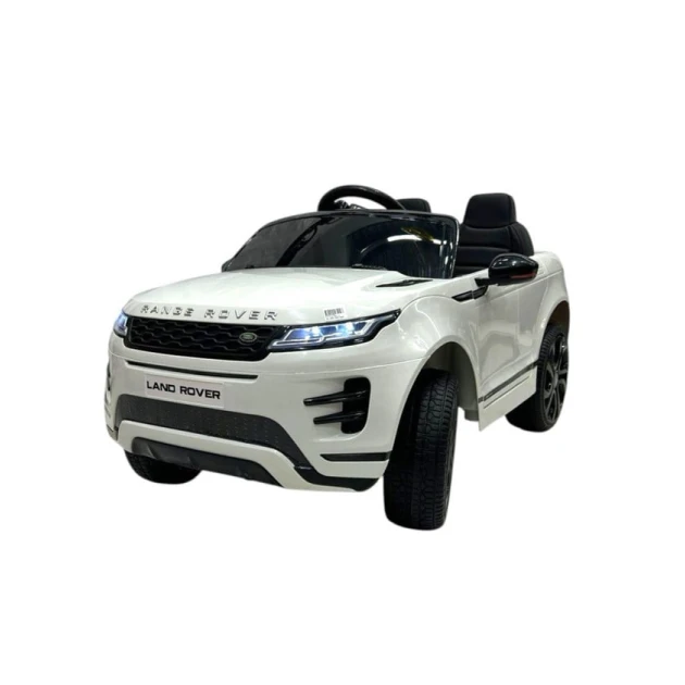 Uşaq elektrik avtomobili TToys RR99-660, ağ