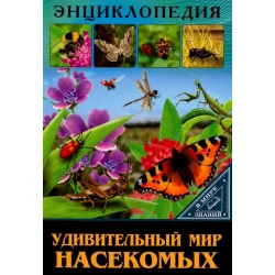 Книга Удивительный мир насекомых.Удивительный мир насекомых, автор Соколова Л.