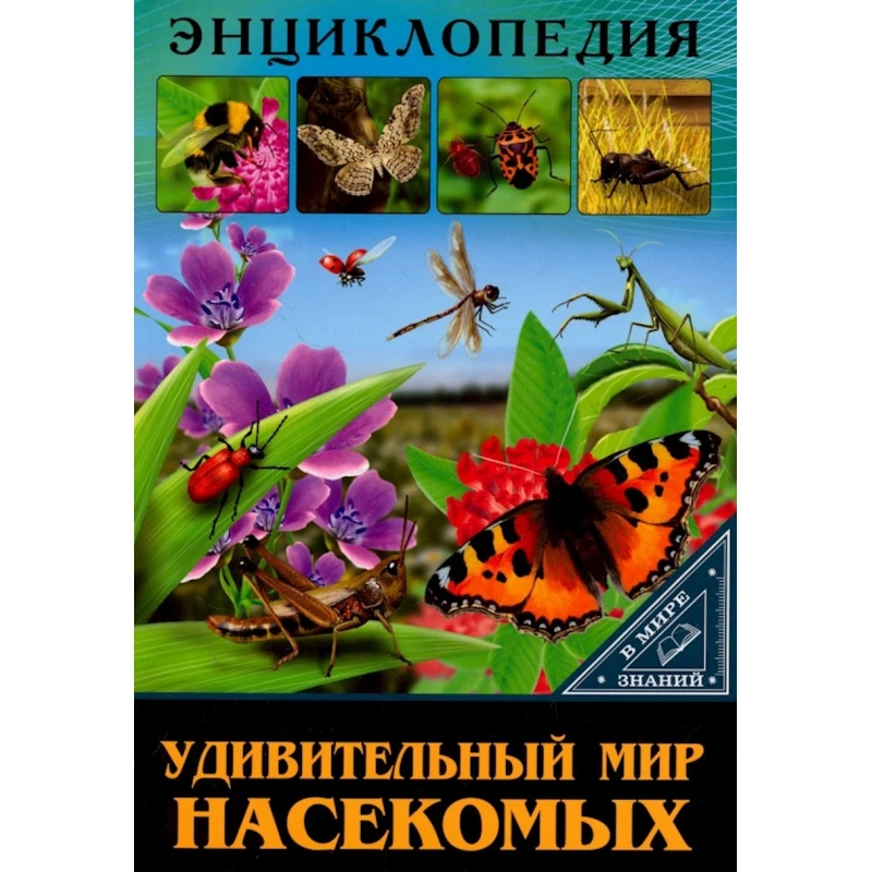 Книга Удивительный мир насекомых.Удивительный мир насекомых, автор Соколова Л. Книга Удивительный мир насекомых.Удивительный мир насекомых, автор Соколова Л.