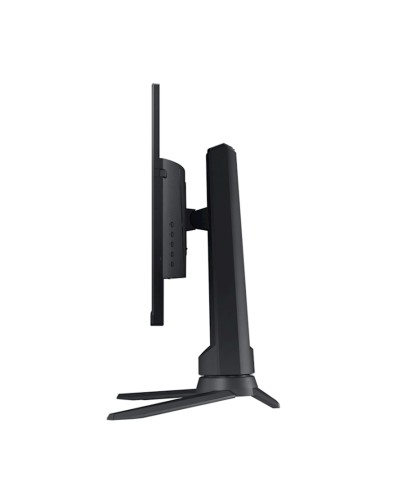 Monitor 24