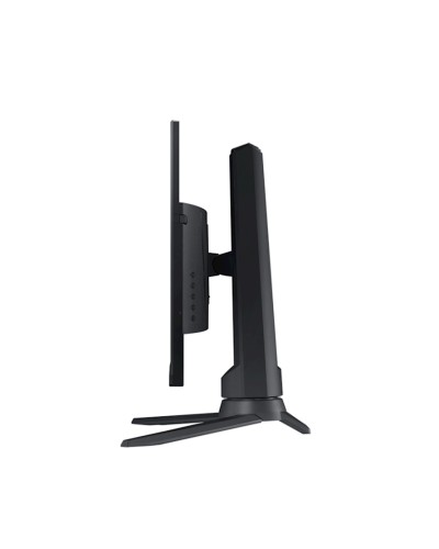 Monitor 24