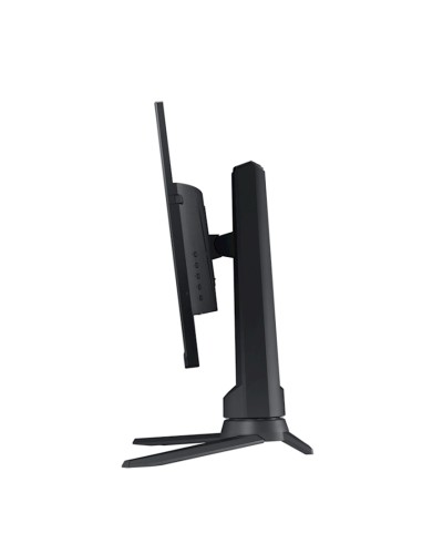 Monitor 24