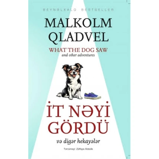 Книга Qanun Nəşriyyatı İt nəyi gördü, автор Малькольм Гладвелл