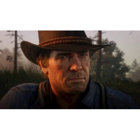 Игра Red Dead Redemption 2 PS4