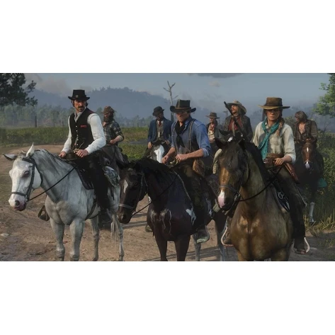 Игра Red Dead Redemption 2 PS4