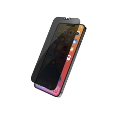 Qoruyucu Şüşə Privacy-Qara İPhone SE