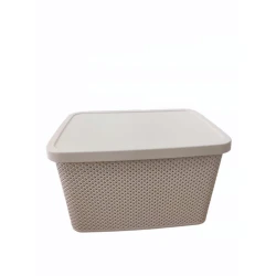 Корзина для белья Hobby Life Elmas Kapaklı Kutu, с крышкой, 19 л, кремовый, пластик, 28х38.5х22 см Корзина для белья Hobby Life Elmas Kapaklı Kutu, с крышкой, 19 л, кремовый, пластик, 28х38.5х22 см
