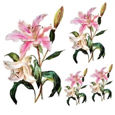 Dekupaj üçün düyü kağızı Cadence 60x60, UC-008