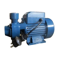 Водяной насос Bramex WKP60-1