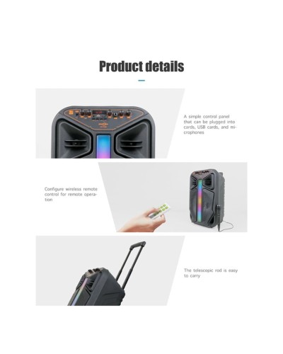 Portativ dinamik GTS-1846 Black