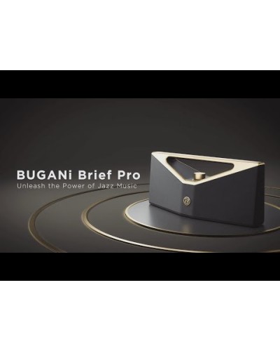 Портативная колонка Bugani Brief Pro