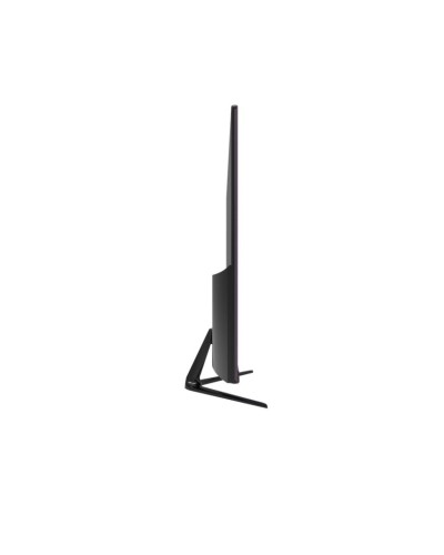 Monitor 24