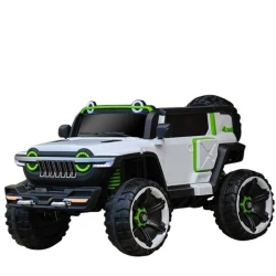 Uşaq elektrik avtomobili WN_166, ağ