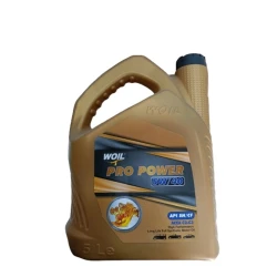 Моторное масло Woil Pro Power 5W-40, 5 л