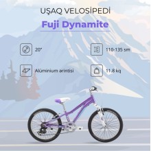 Dağ velosipedi Fuji Dynamite 20