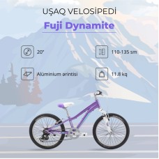 Dağ velosipedi Fuji Dynamite 20