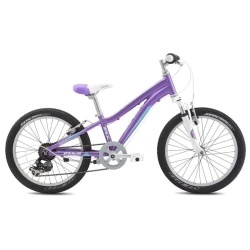 Горный велосипед Fuji Dynamite 20